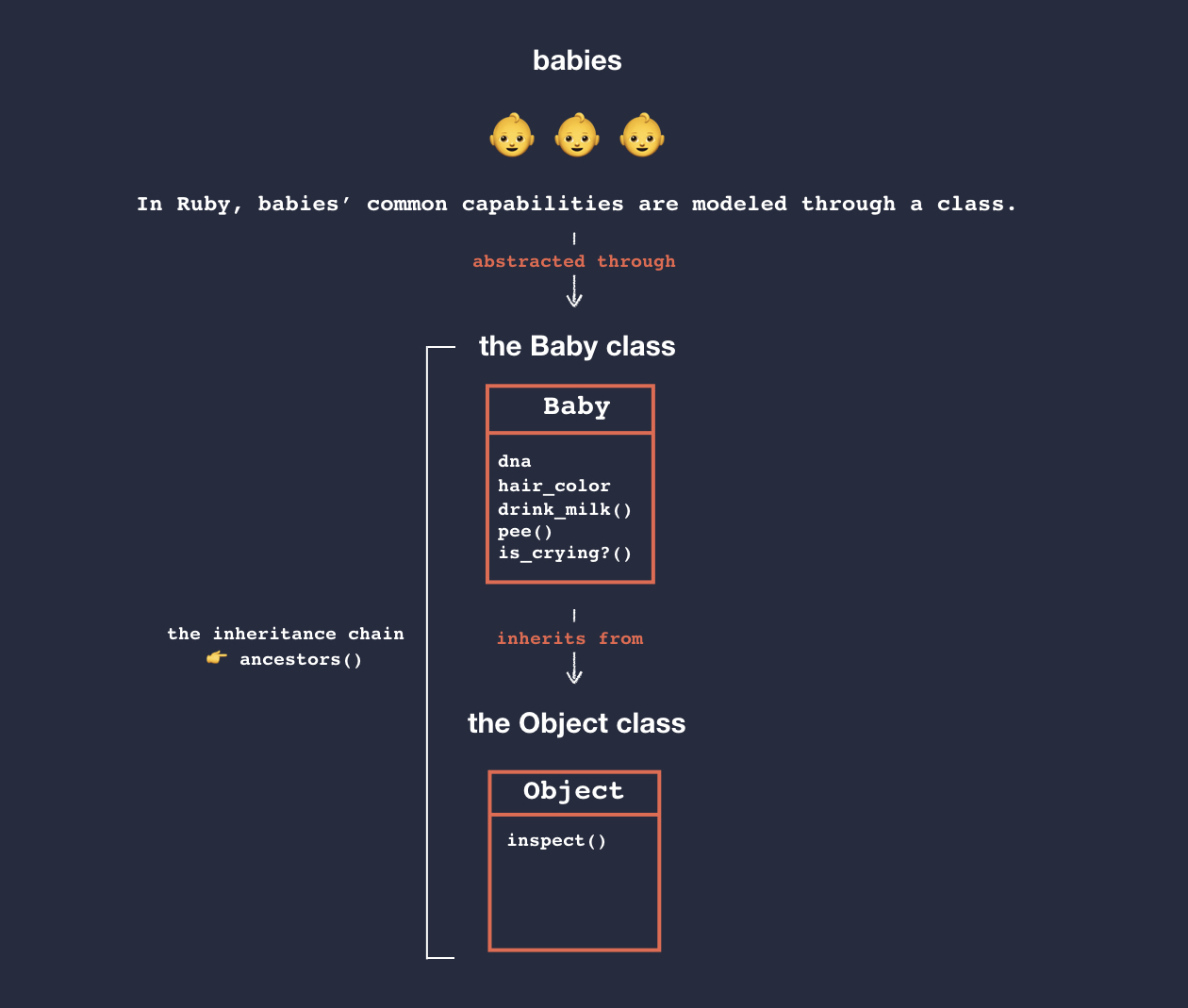 a schema explaining how babies common data types and behaviors can be modeled through a Ruby class which inherits from the root Object class