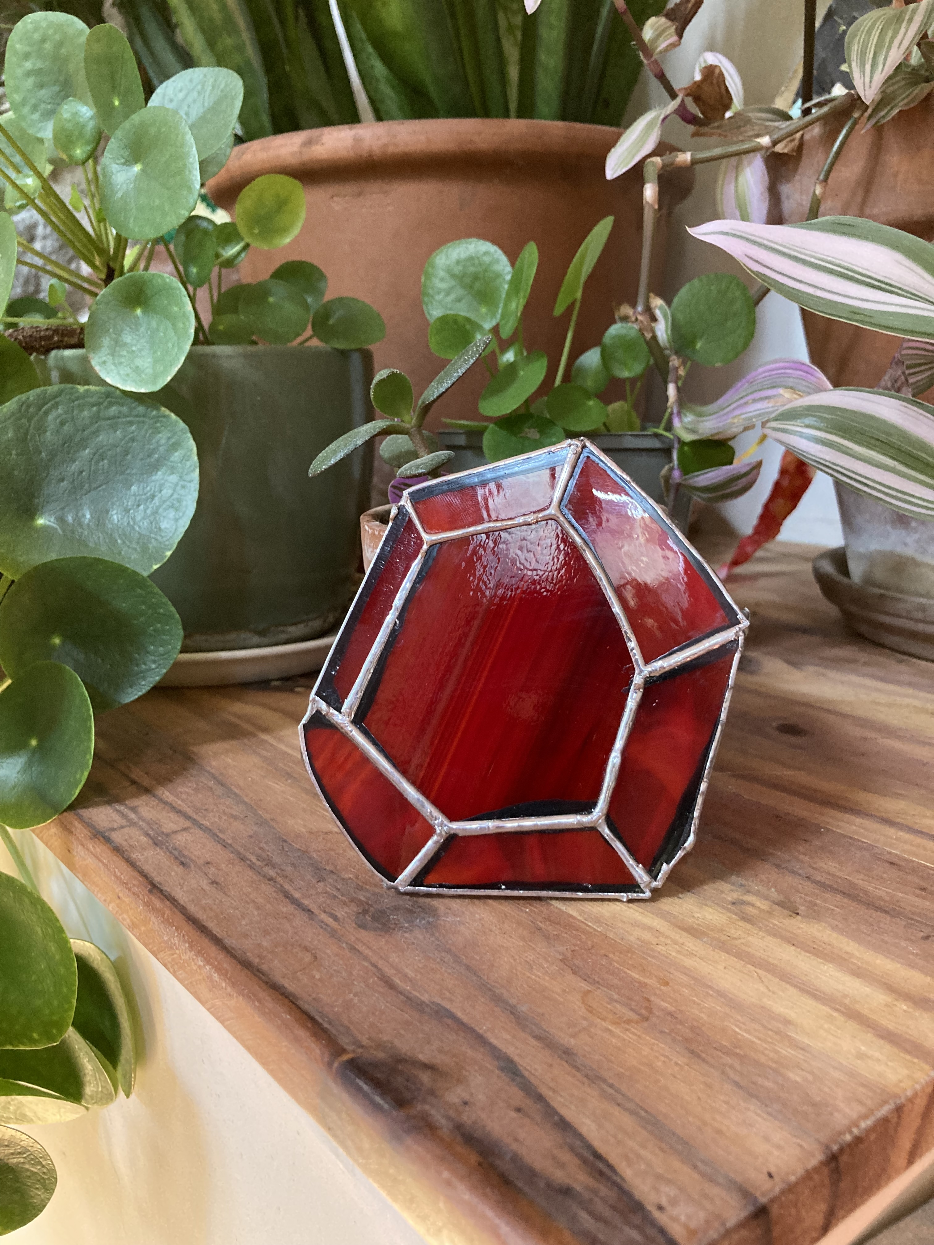 the finished red ruby-shaped test panel standing on a wooden shelf in front of houseplants